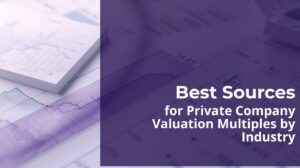 AI dashboard showing private company valuation multiples by industry.
