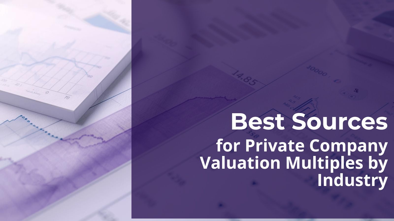 AI dashboard showing private company valuation multiples by industry.
